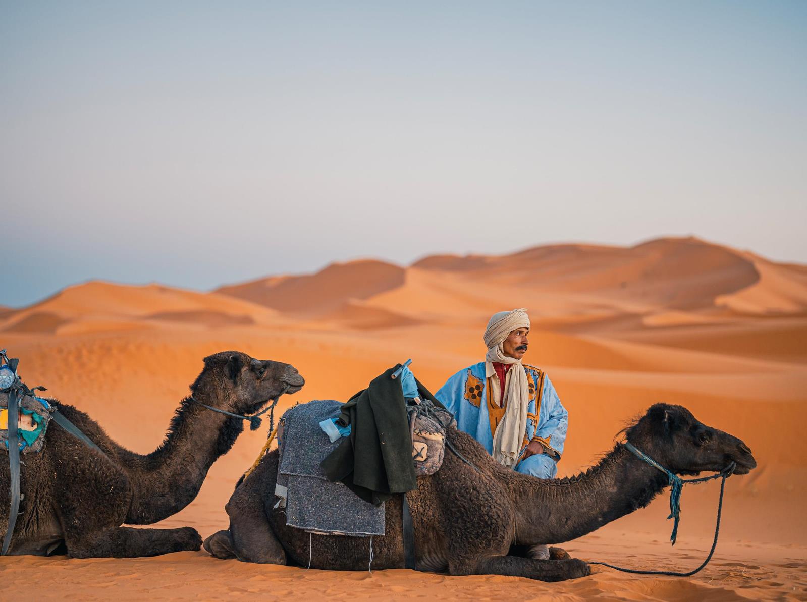 image of a traditional desert scene featuring camels and a person in Moroccan attire, within the Sahara Desert